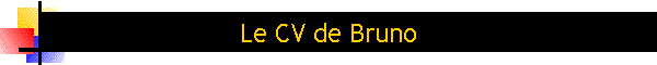 Le CV de Bruno