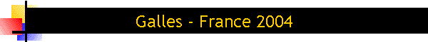 Galles - France 2004